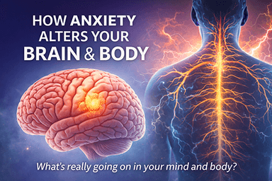 Recommended reading: Understanding anxiety from a neurobiological perspective